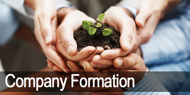 COMPANY FORMATION IN UAE, Feasibility Study, Market Research, Memorandum of Understanding, Articles of Association, Company formation, Buy existing company, Family Homes, Plant based sea food, Blockchain Technology